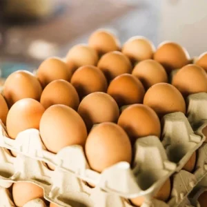 Telur 1 Rak