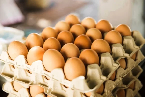 Telur 1 Rak
