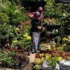 Bunga - Gambar 3